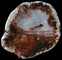 Esterel - Plateau de Grane